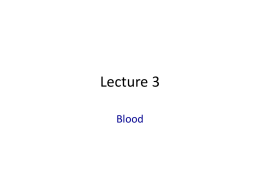 Powerpoint lecture