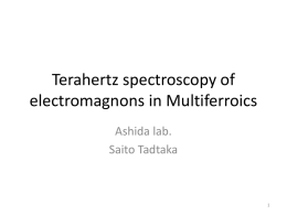 Terahertz spectroscopy of electromagnons