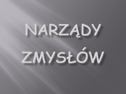 NARZ*DY ZMYS*ÓW - zs2.nidzica.pl