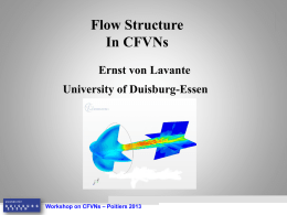 Workshop on CFVNs - Universität Duisburg