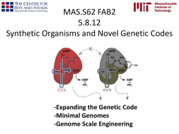 Synthetic Organisms and Novel Genetic Codes
