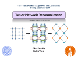 Tensor Network Renormalization (TNR)
