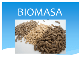 3. Biomasa - Eszkola