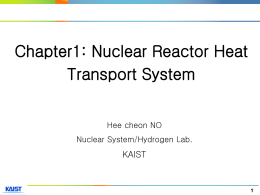 **** 1 - Nuclear/Hydrogen System Lab