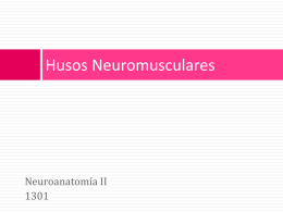 Power point sobre los husos neuromusculares