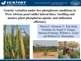 Folie 1 - Phosphorus in Soils and Plants