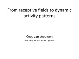 powerpoint slides - Gestalt ReVision