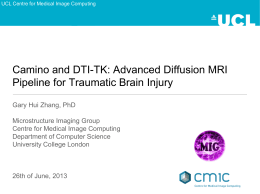 Camino and DTI-TK: Advanced Diffusion MRI Pipeline for Traumatic
