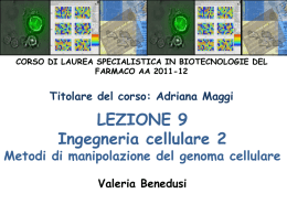 Lezione 9
