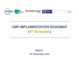 CMP Roadmap TSOs_SGRI _20 IG