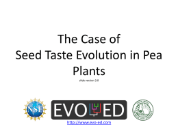 Pea Taste Evolution - Lyman Briggs College
