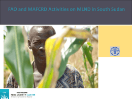 FAO and MAFCRD Activities on MLND in South Sudan