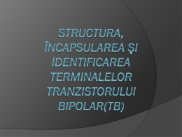 Structura, încapsularea *i identificarea terminalelor TB