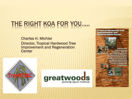 Population genetics and high-value hardwoods: Potential for Acacia