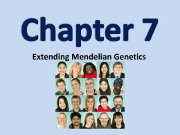 Section 7.1: Chromosomes & Phenotypes