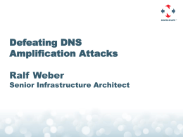 Defeating DNS Amplification Attacks