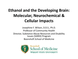Ethanol and the Developing Brain: Molecular, Neurochemical