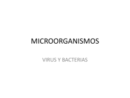 MICROORGANISMOS