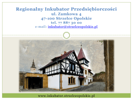 Regionalny Inkubator Przedsiębiorczości w Strzelcach Opolskich