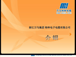 Zhejiang Wanma Group Special Electron Cable Co., Ltd 浙江万马