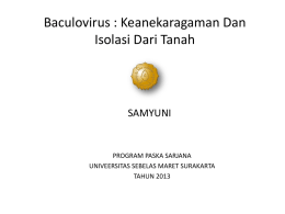 PPT