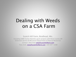 Mulch Systems and Weed Control Powerpoint