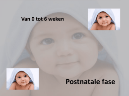 Postnatale fase.
