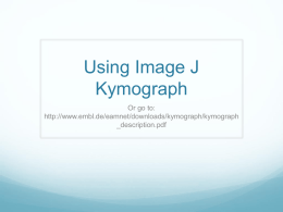 Using Image J Kymograph