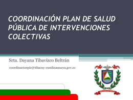 Secretaria de Gobierno Coordinación PIC VIGENCIA 2013 TIBACUY