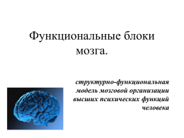 Структурно-функциональная модель мозга А.Р. Лурия