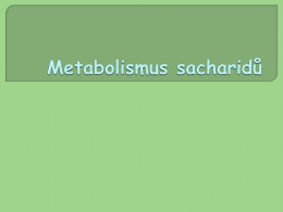 metabolismus sacharidů.
