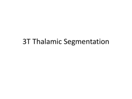 3T Thalamic Segmentation