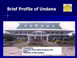 Undana*s vision, mission and strategic activities