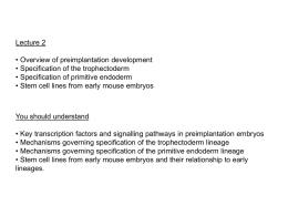 lecture 2 revised 2013 (1)
