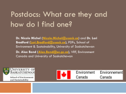 Postdocs: What are they and how do