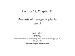 Plant Genetics, Breeding and Biotechnology (PLSC 452/552)
