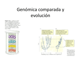 genomica evolutiva 1