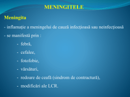 Meningita