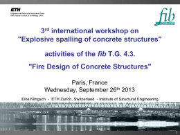 fib TG-4.3 report - International Workshop on Concrete Spalling