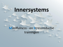 Innersystems Mindfulness Trainingen Zeeland