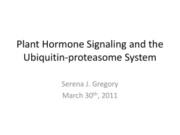 Plant Hormone Signaling - Wikispaces - Biol512
