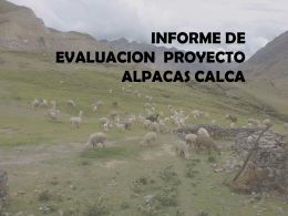 ppt Evaluacion Alpacas WV PDA Calca