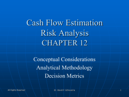 Cash Flow Estimation Risk Analysis
