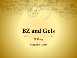 PowerPoint Presentation - BZ and Gels