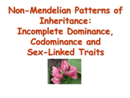 Non-Mendelian Patterns of Inheritance: Incomplete Dominance