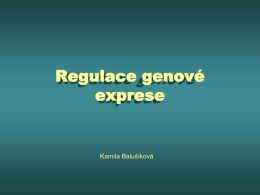 Regulace genové exprese