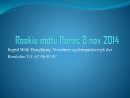 Rookie-møte-Røros-8