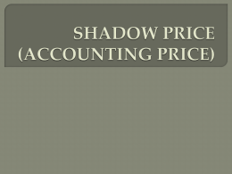7. shadow price skib