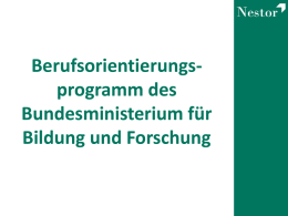 Nestor Bildungsinstitut GmbH - Berufsorientierungsprogramm