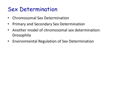 Powerpoint L15 Sex Determination
